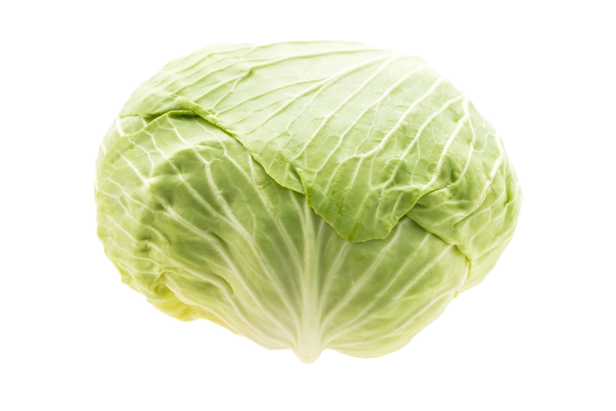 cabbage